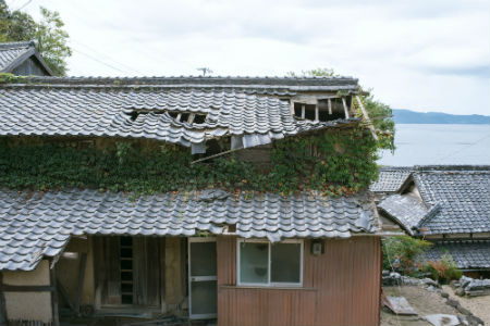 degraded roof 2