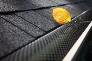 gutter leaf guards