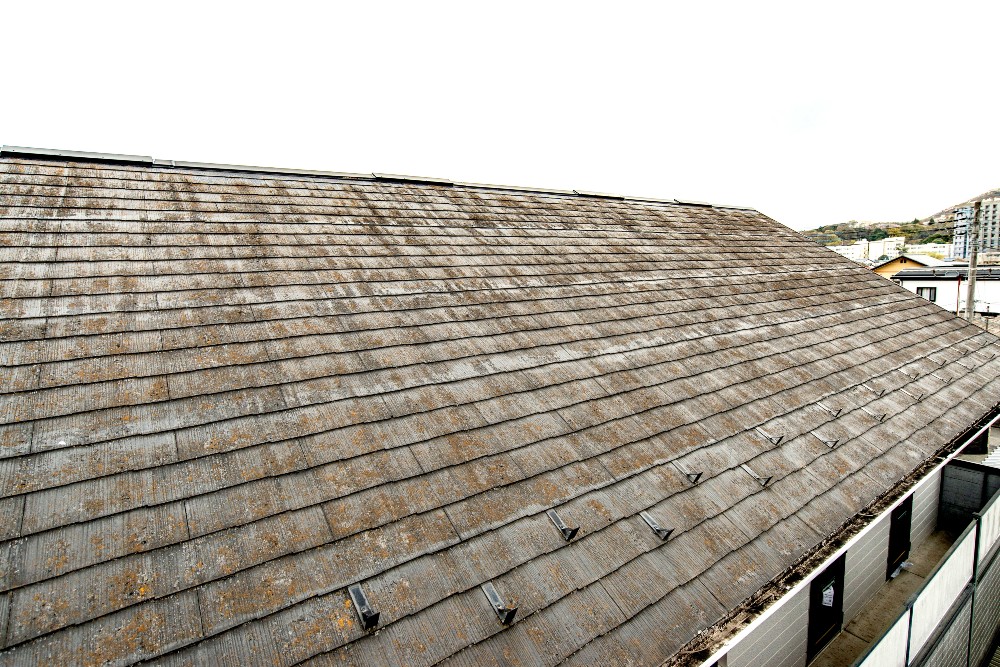 Roof Stains: Different Types and How to Identify