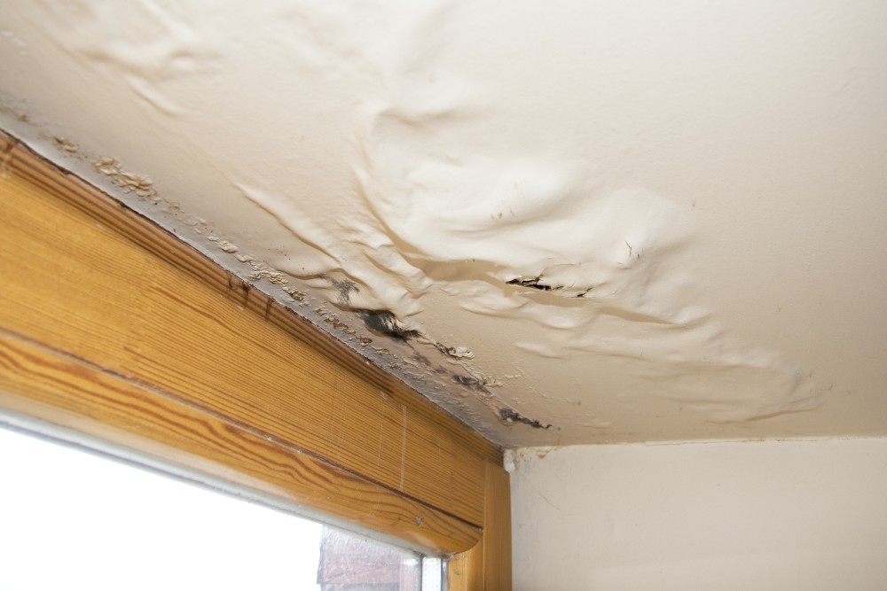 Does Insurance Cover Roof Leaks?