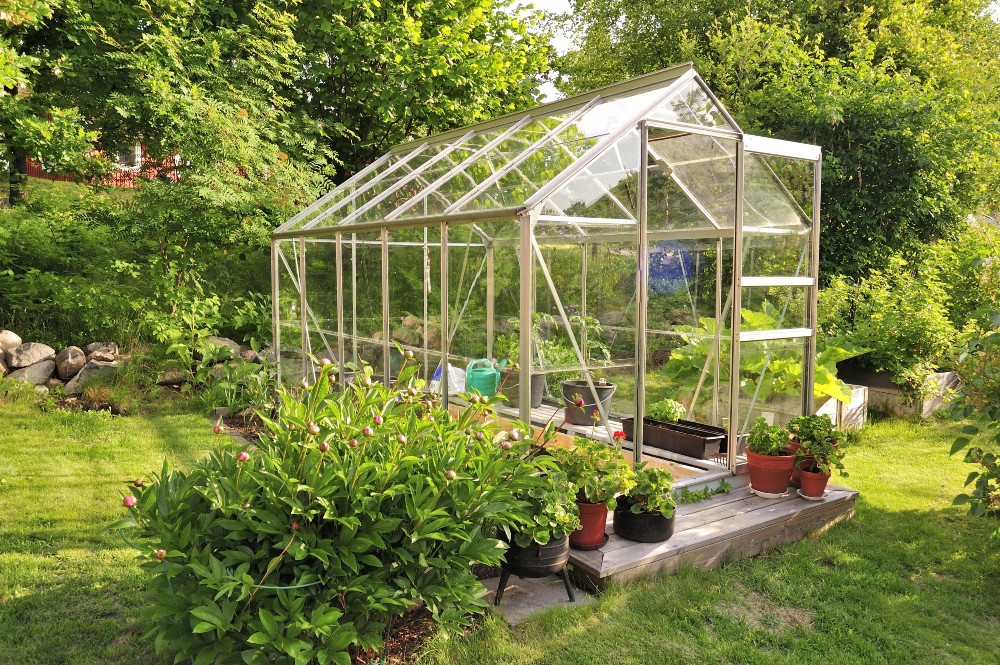 What to Use for a Greenhouse Roof