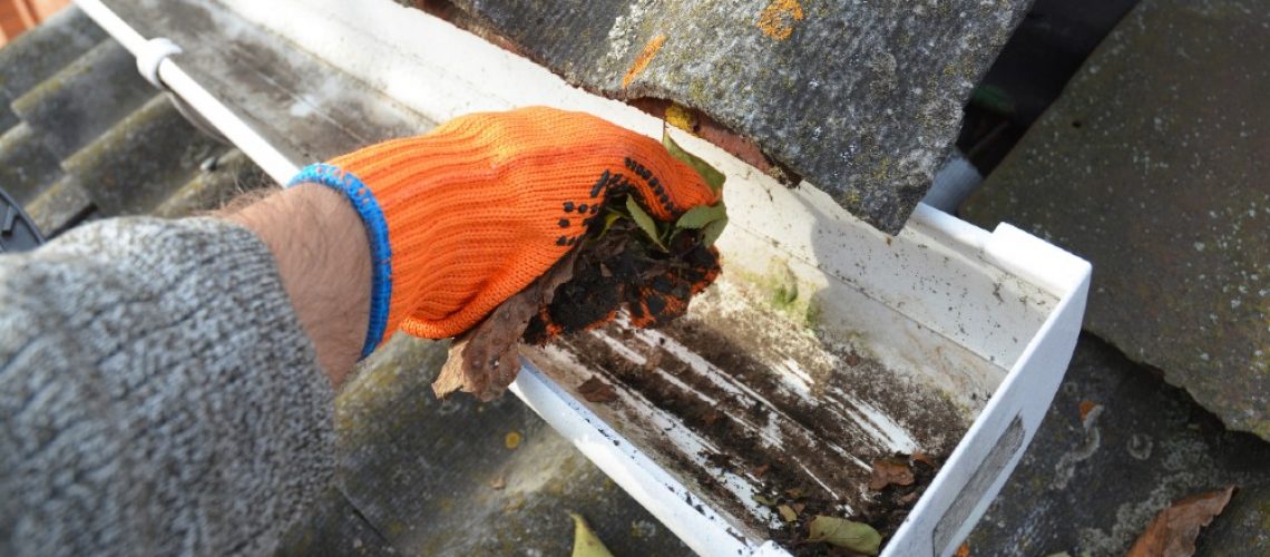 what happens if you dont clean your gutters